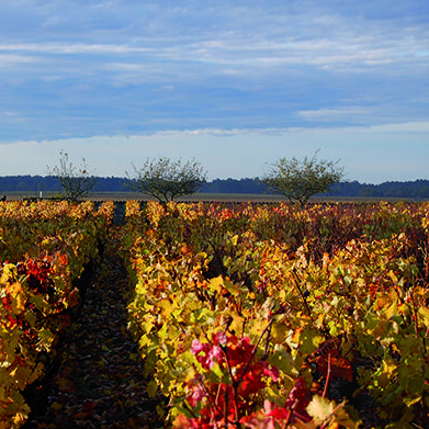 plateau du souley